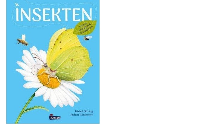 Insekten - Wissen und allerlei Drumherum Ein Insektenbuch für Kinder ab 5