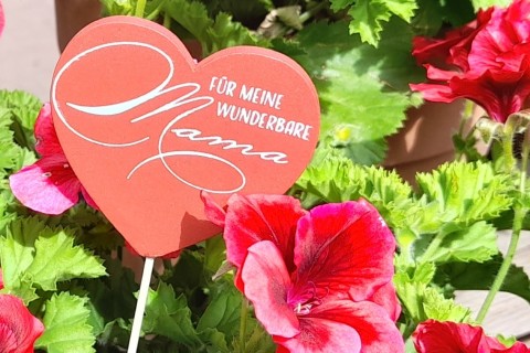 Besondere Blumenangebote zum Muttertag bei Gärtnerei Mertens in Beckum