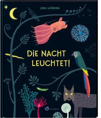 Die Nacht leuchtet! | Bilderbuch über die Phänomene der Nacht für Kinder ab 4 Jahren, Cover leuchtet im Dunkeln