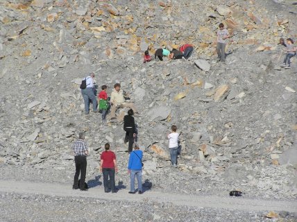 Beckumer NaTouren: Fossilien-Exkursion im Steinbruch am 23. Mai