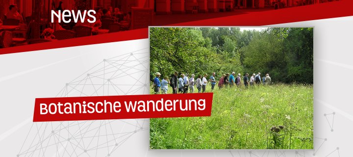 Botanische Wanderung am Mackenberg - Noch Plätze verfügbar