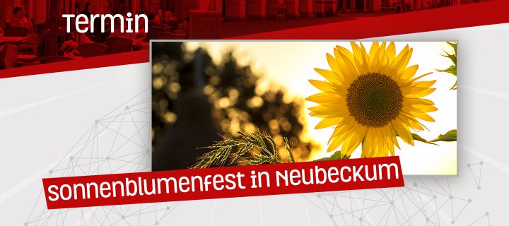 Sonnenblumenfest in Neubeckum am 8. September